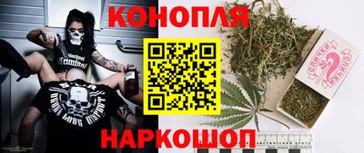 СК Краснознаменск