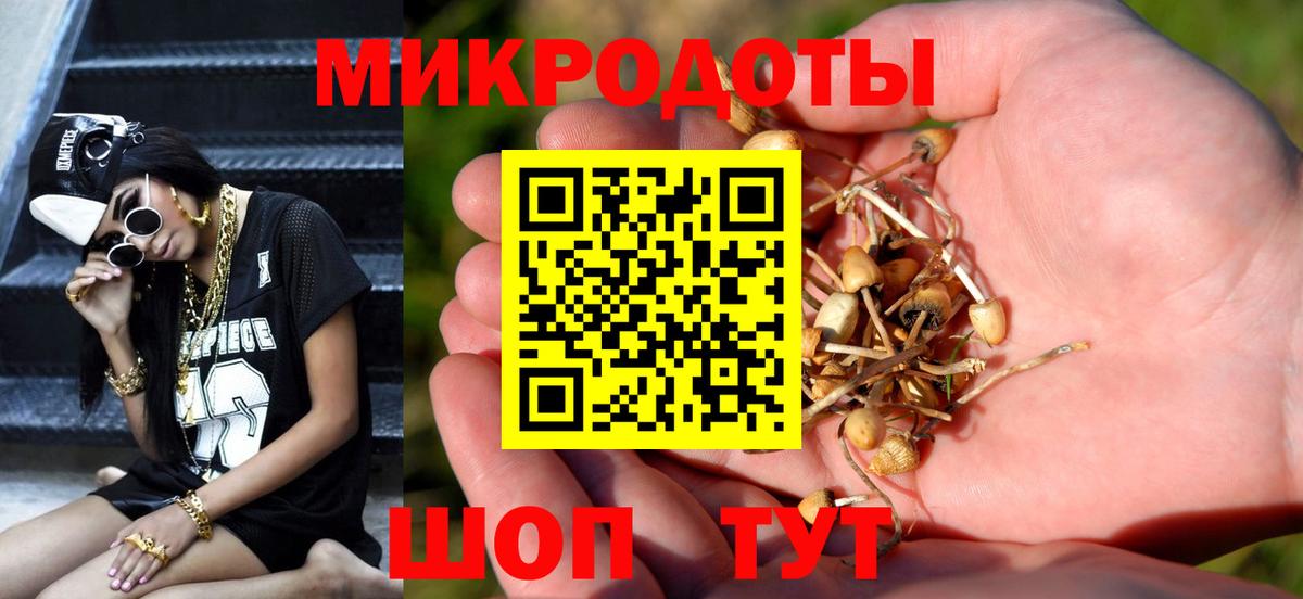 Галлюциногенные грибы ЛСД  Вход с VPN  Гатчина 